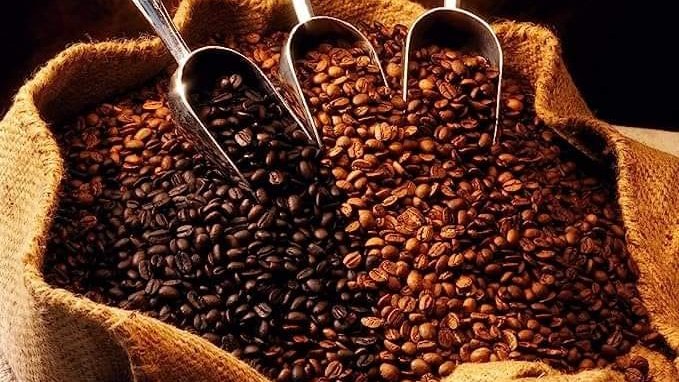 Nicaragua: Exportaciones de café superan los US$900 millones