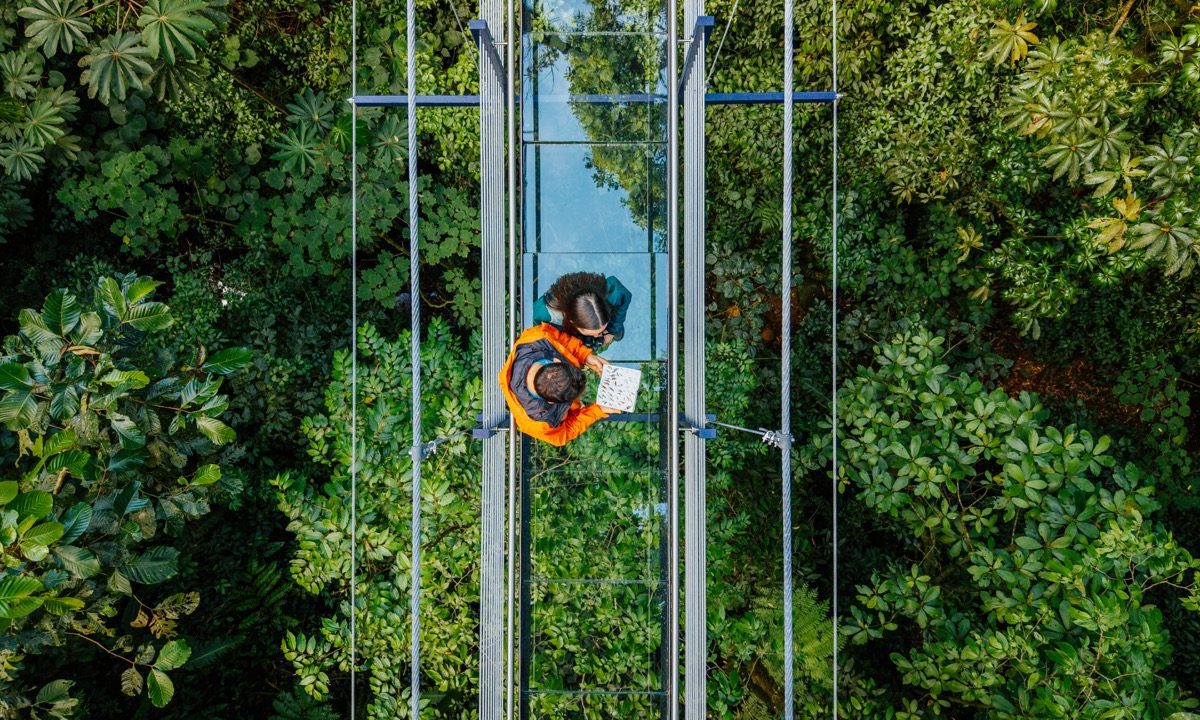 Treetopia Park en Monteverde presenta “The Glass Bridge”, el primer puente colgante de vidrio de Costa Rica