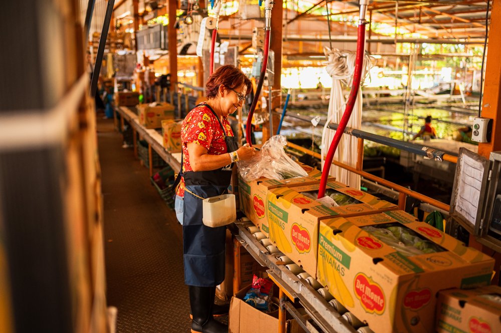 Fresh Del Monte completa adquisición histórica que reunifica la marca Del Monte tras casi 40 años