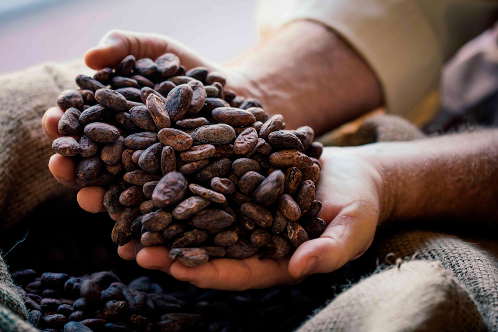 Salud y sostenibilidad se consolidan como motores de consumo en América Latina