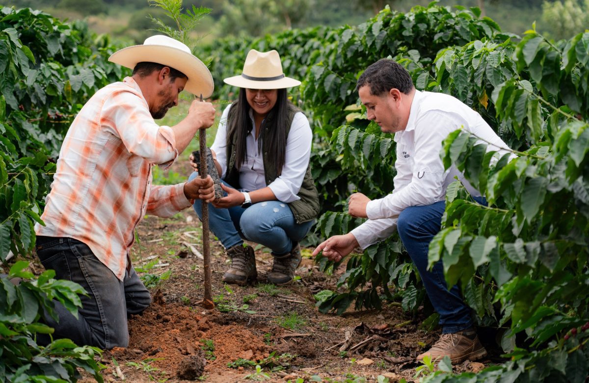 Nestlé contribuye a la siembra de más de 2 millones de árboles en Centroamérica