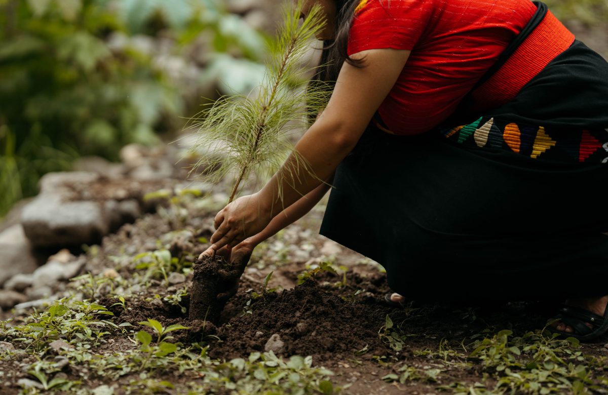 Guatemala: Ford abre convocatoria para Donativos Ambientales Ford 2026