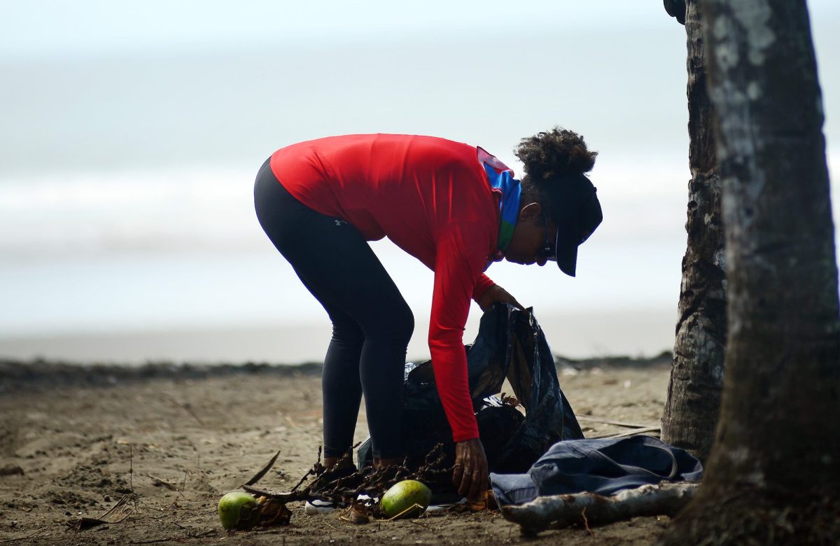 Anfitriones de Airbnb y comunidad de Playa Linda colaboran en campaña de limpieza ambiental