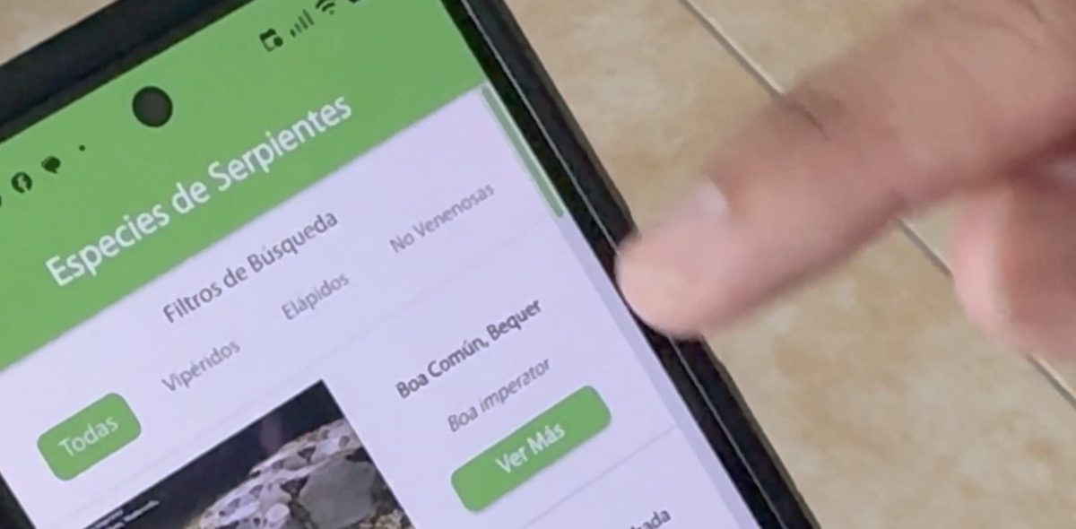 Costa Rica ya cuenta con su primera aplicación móvil para identificar serpientes venenosas