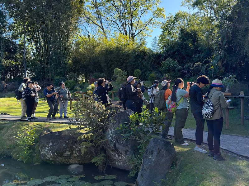Centroamérica encuentra en el aviturismo una vía para proteger bosques y atraer visitantes