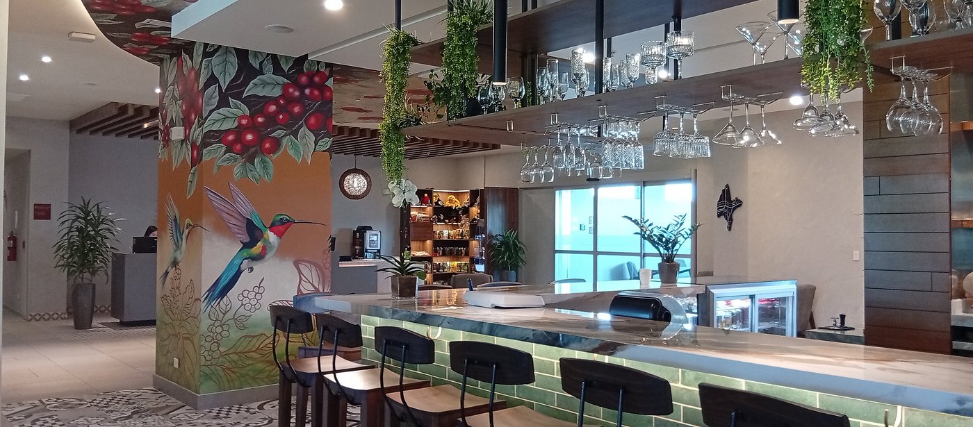 Entre colibríes, café y miel: el nuevo destino gastronómico que eleva la cocina contemporánea en el Este de San José, Costa Rica