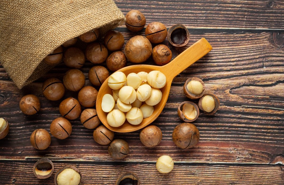 Guatemala lidera producción de macadamia en América y es quinto a nivel mundial