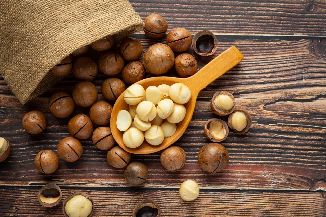 Guatemala lidera producción de macadamia en América y es quinto a nivel mundial