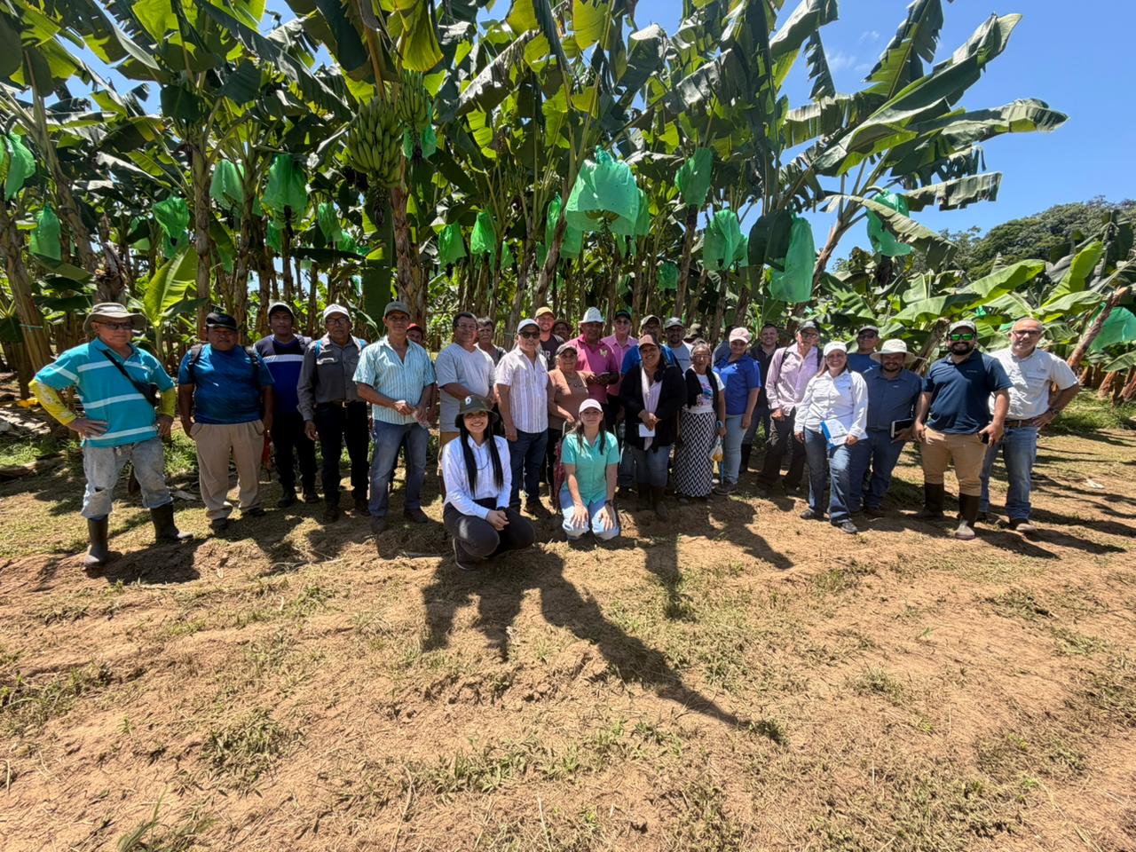 PROCOMER impulsa al sector platanero con innovadoras Escuelas de Campo que llevan la formación directamente a las fincas costarricenses