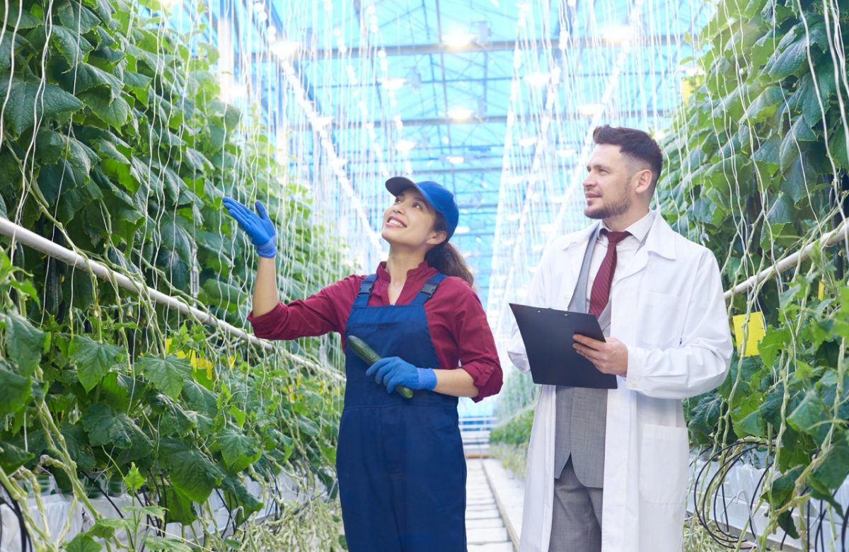 EY amplía su operación regional con la incorporación de MB Agro