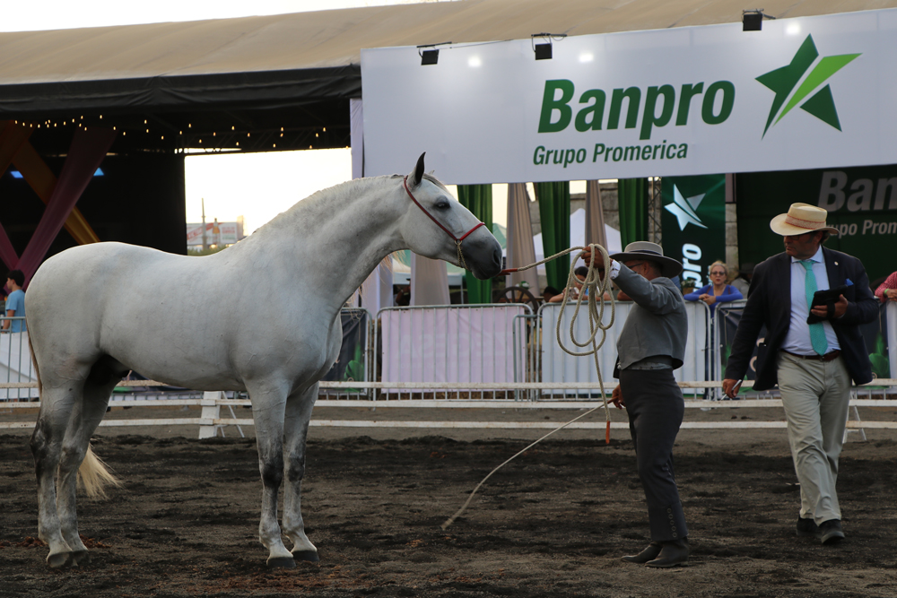 Banpro en feria del caballo