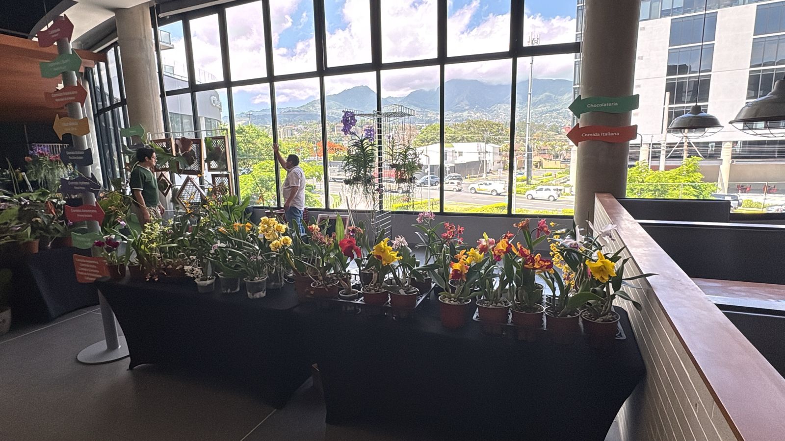 Feria de orquídeas y plantas exóticas  llega este fin de semana a Escazú Village