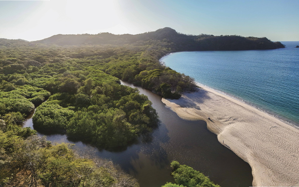 Reserva Conchal: sostenibilidad que conecta naturaleza, comunidad y destino