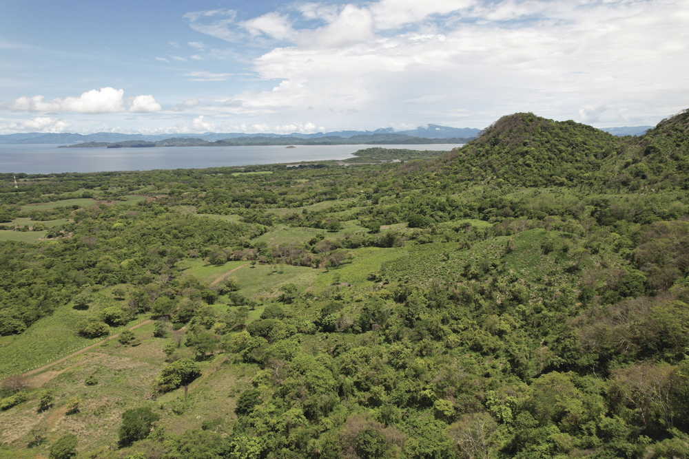 Terra Quintas, conservar para crecer