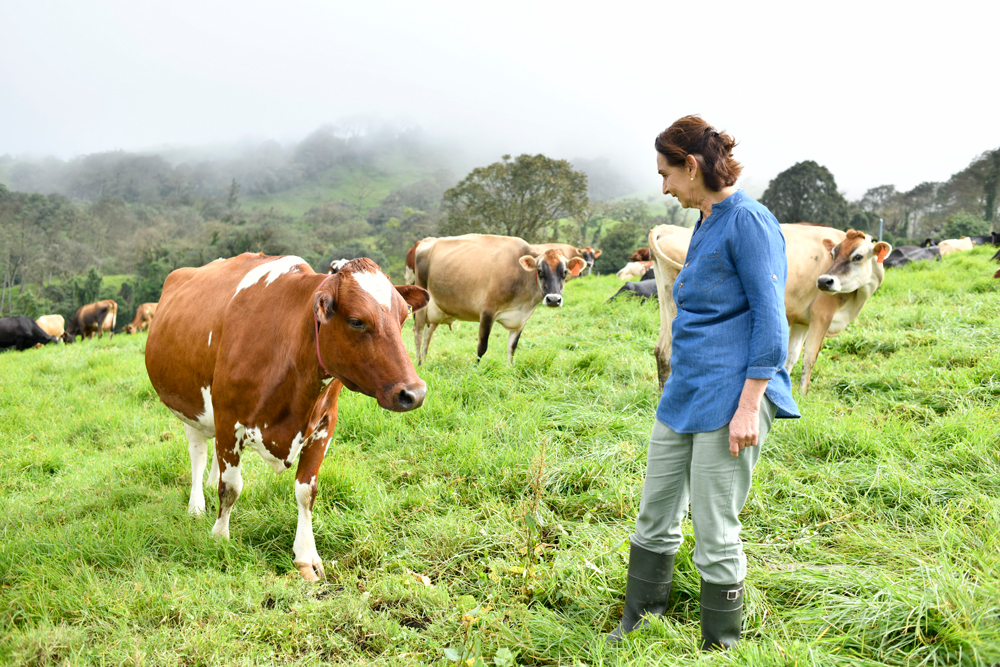 En el Día Mundial de la Leche: Dos Pinos conmemora el trabajo de sus mujeres asociadas