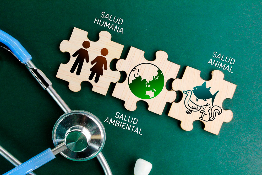 Esquipulas será sede del Primer Congreso Centroamericano de Una Salud y VIII Encuentro Académico Internacional de Salud Pública Veterinaria