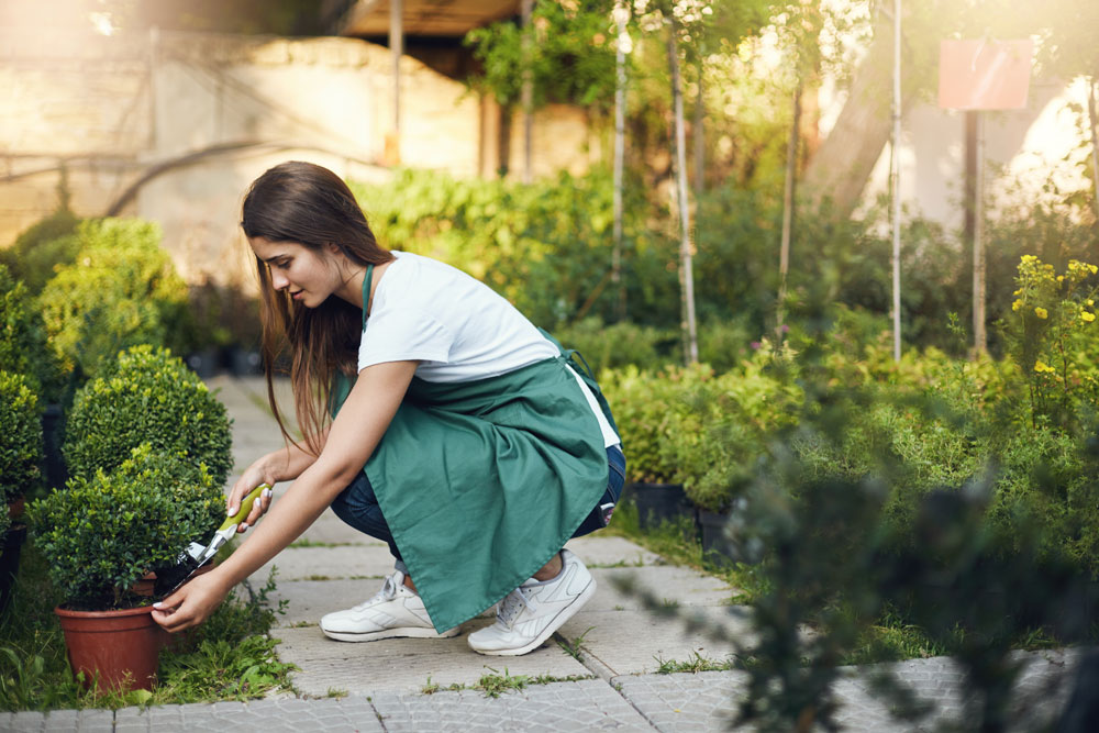Consejos prácticos para evitar que el exceso de agua dañe las plantas