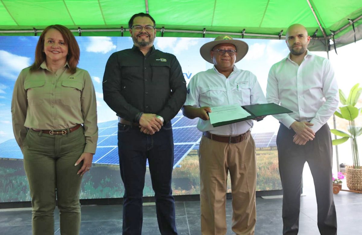 ICE y CoopeGuanacaste inician obras constructivas de parque solar más grande de Costa Rica