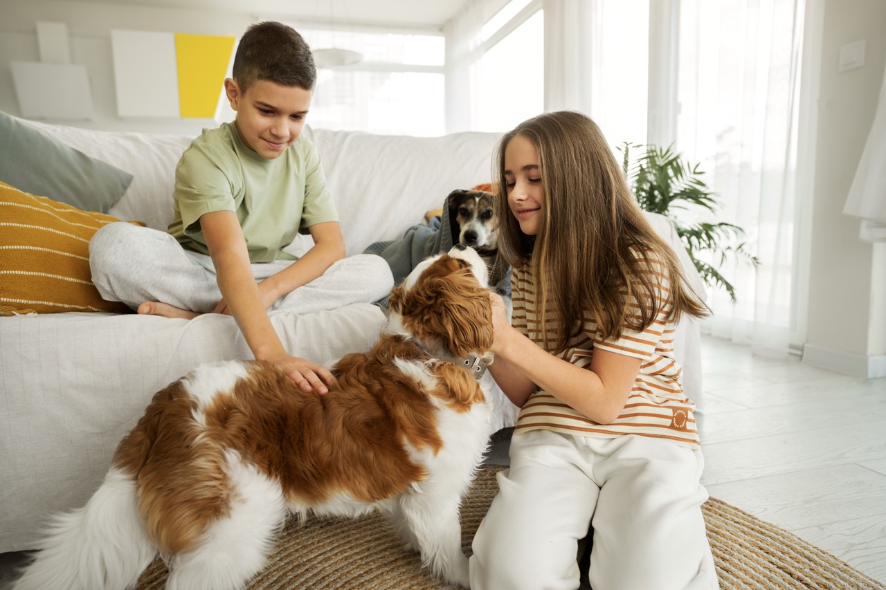 Día Mundial del Perro: El 76 % de los hogares costarricenses convive con al menos una de estas mascotas