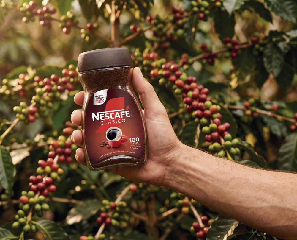 Nestlé, una taza que regenera la caficultura en la región
