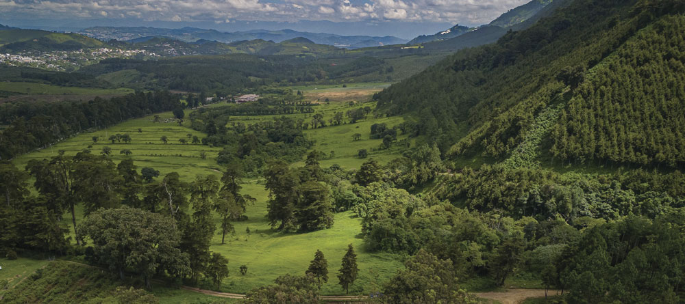 Castillo Hermanos, referente regional en negocios verdes