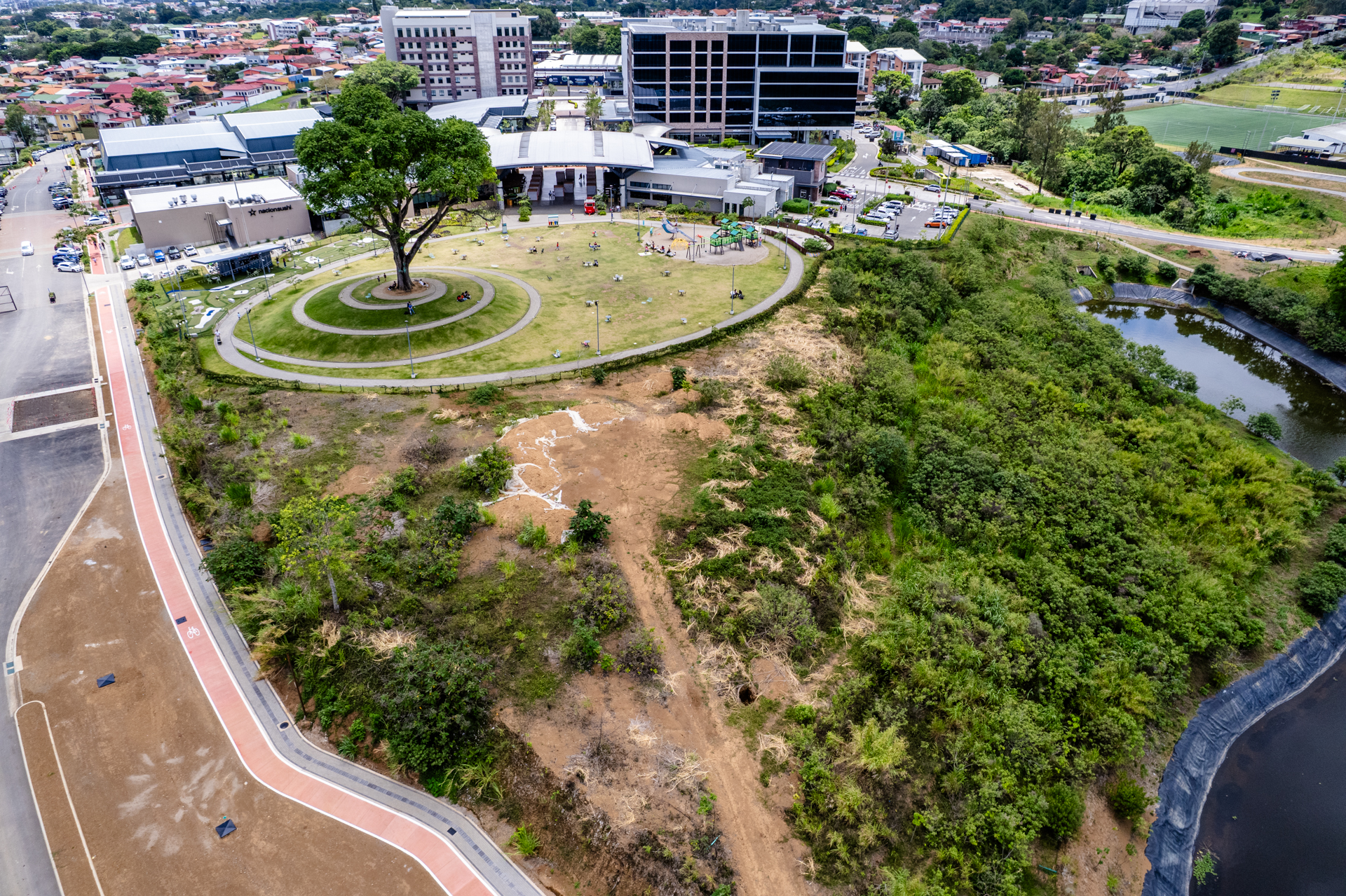 Portafolio Inmobiliario impulsa en Aleste el primer bosque de bolsillo de Centroamérica