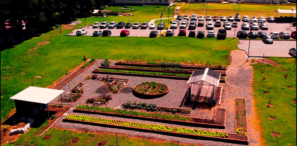 Eurofarma Guatemala inaugura huerta orgánica que promueve reciclaje, alimentación saludable y compromiso ambiental