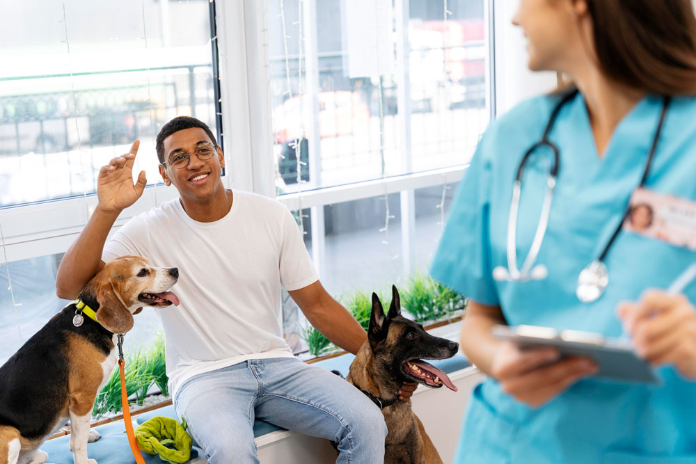 Tratamiento asistido por animales potencia la rehabilitación de pacientes  con accidentes cerebrovasculares