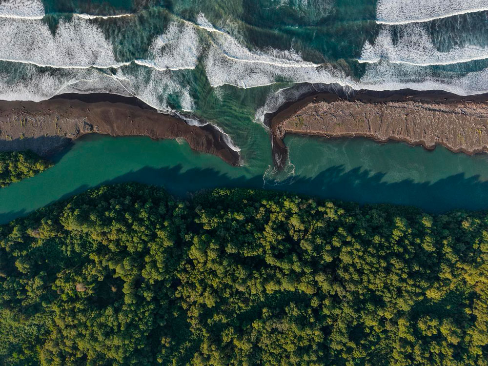 Costa Rica: Místico impulsa el monitoreo científico de la biodiversidad para fortalecer la conservación en Playa Hermosa