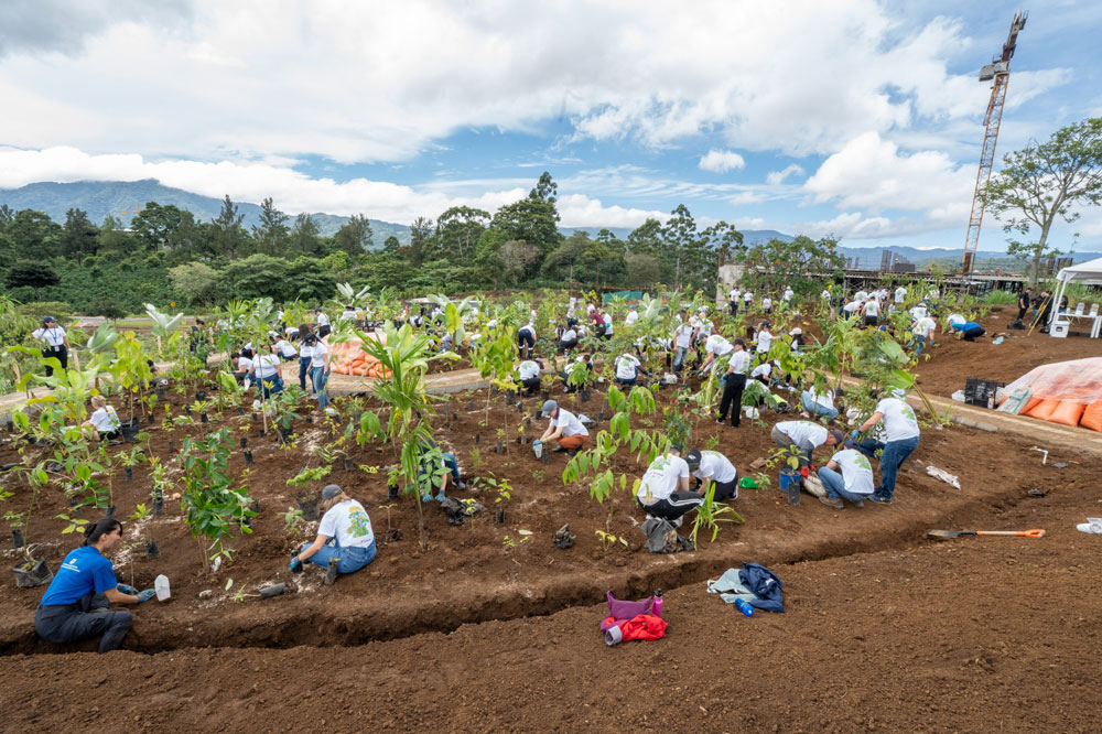 Cerca de 200 voluntarios dieron vida al primer bosque de bolsillo de Centroamérica en Aleste