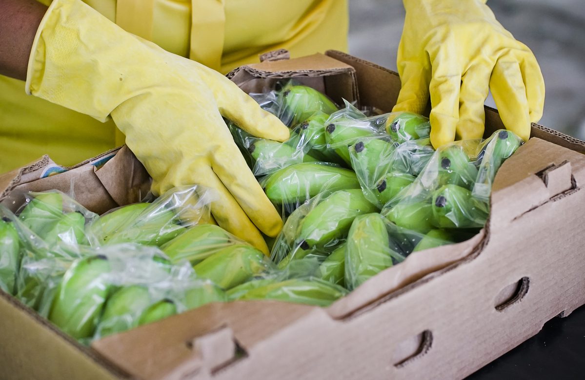 Exportaciones de bienes costarricenses siguen creciendo: ya superan los US$13.800 millones