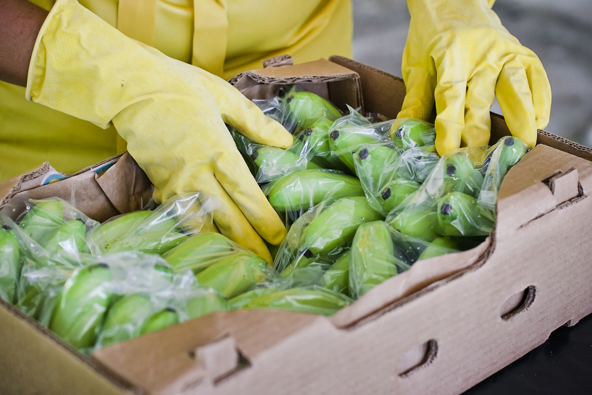 Exportaciones de bienes costarricenses siguen creciendo: ya superan los US$13.800 millones