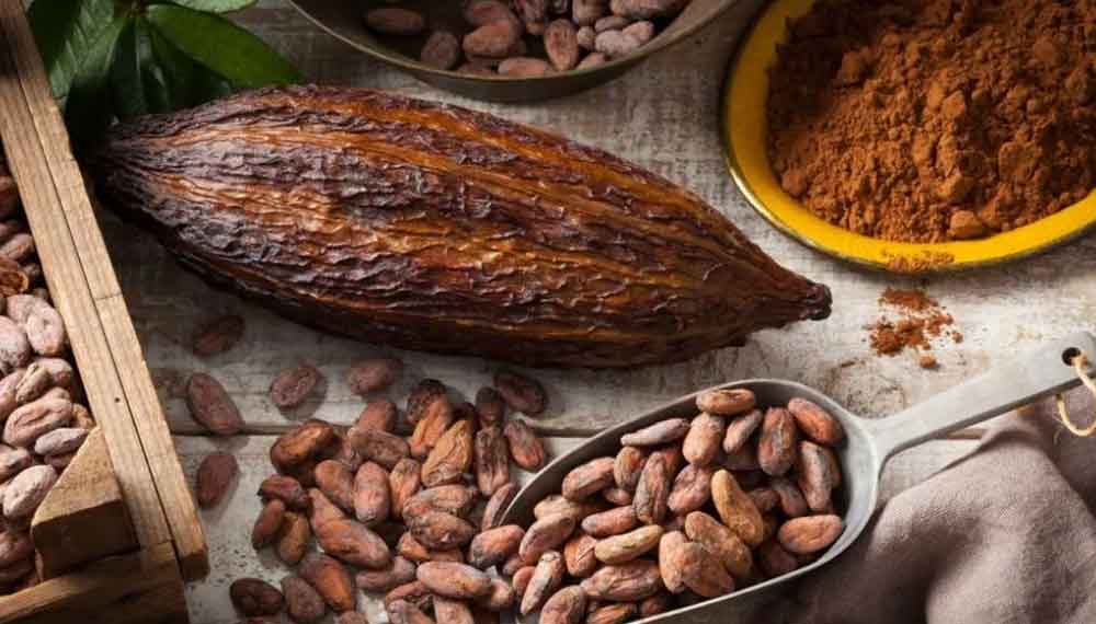Festival del Chocolate Dominicano reunirá más de 18 marcas este año