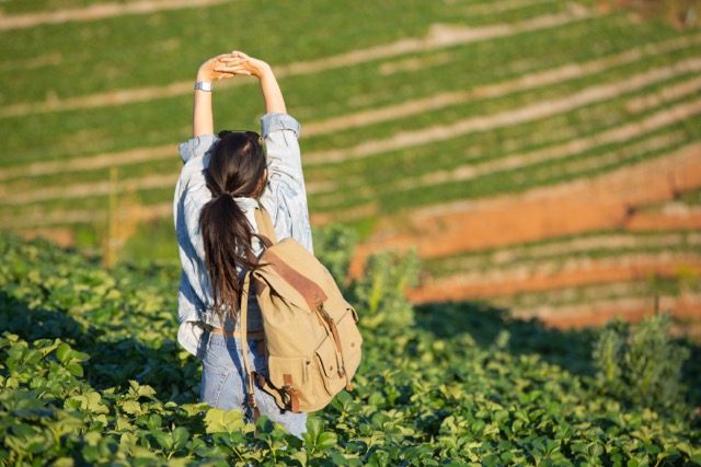 República Dominicana apuesta por el agroturismo para diversificar su oferta