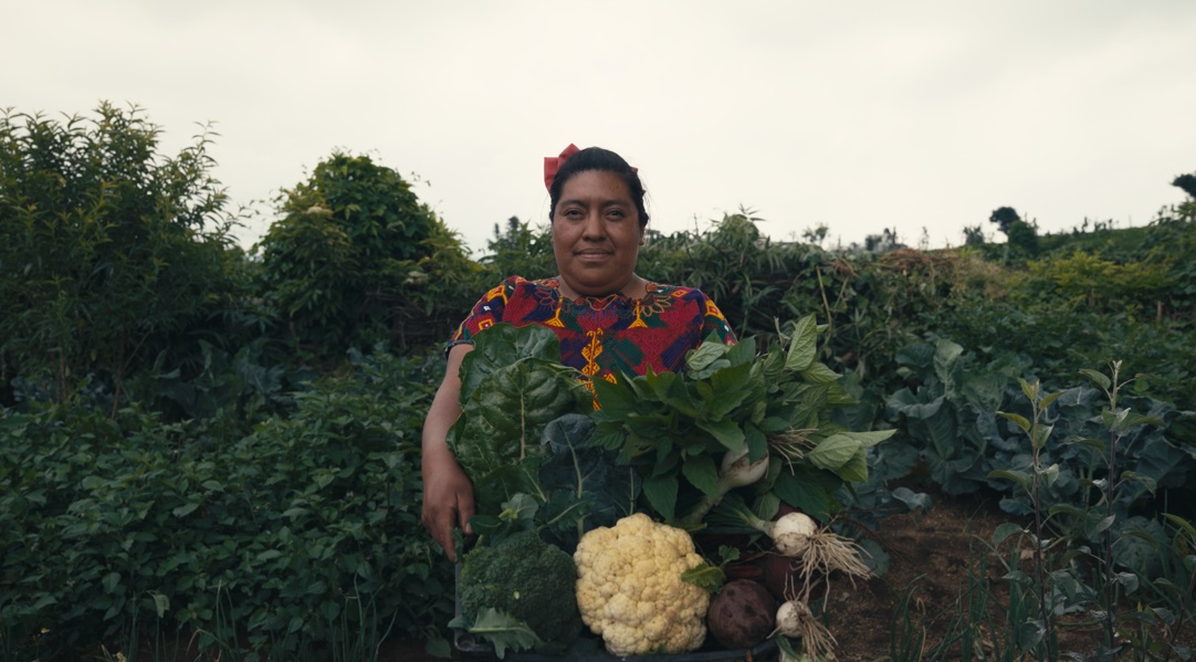 Más de mil personas fortalecen su seguridad alimentaria en Quetzaltenango, Guatemala
