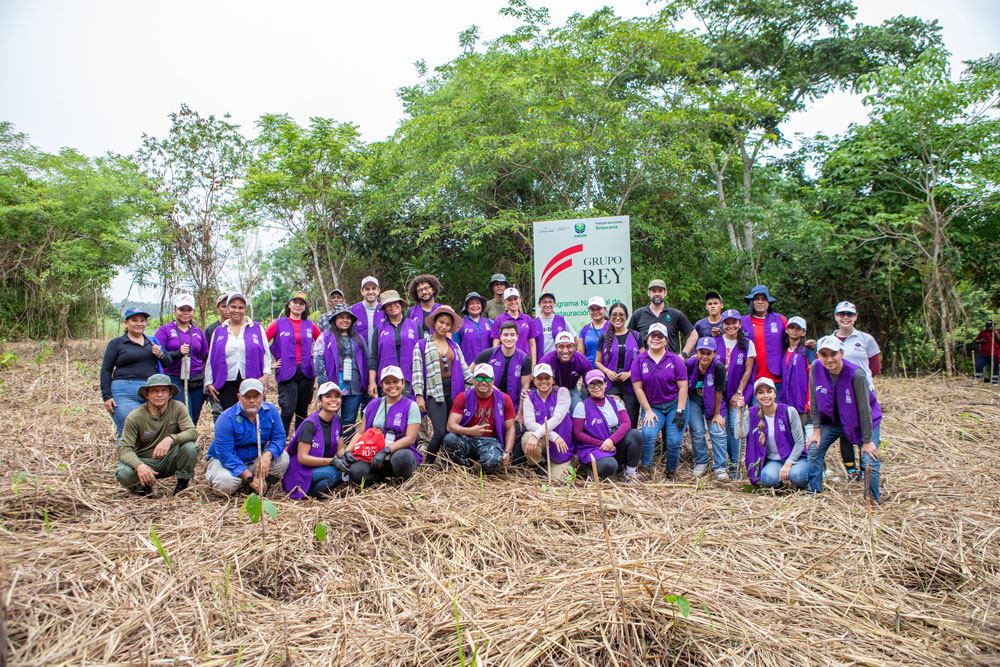Grupo Rey alcanza 3 000 plantones nativos sembrados para la recuperación de los ecosistemas de Panamá