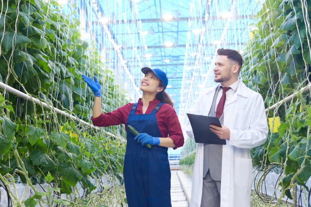 ¿Cómo los riesgos agropecuarios impactan a las empresas?