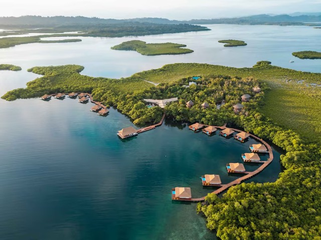 Bocas del Toro en Panamá impulsa la restauración de sus arrecifes de coral