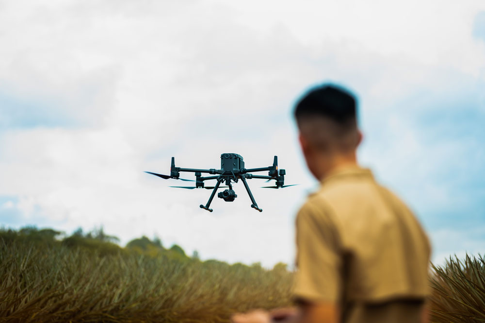 Conozca cómo la tecnología está transformando la agricultura