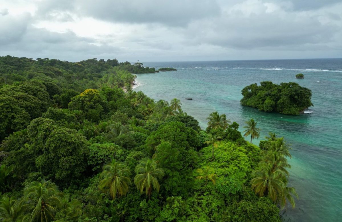 Más de 60 parques naturales de Panamá se preparan para recibir visitantes en noviembre