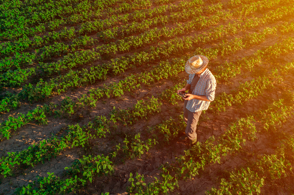 Soya sostenible fortalece la producción de proteína animal en El Salvador