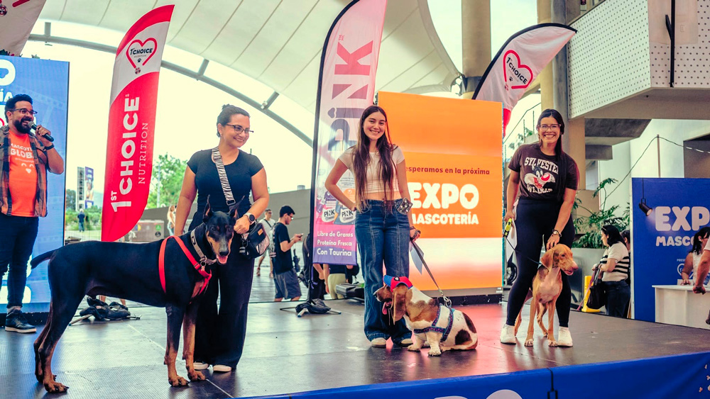 Adopciones y pasarelas de mascotas disfrazadas protagonizarán Expo Mascotería este fin de semana